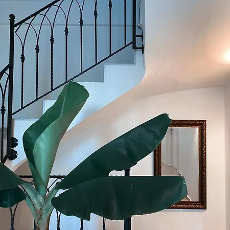 호텔 Amber Boutique *