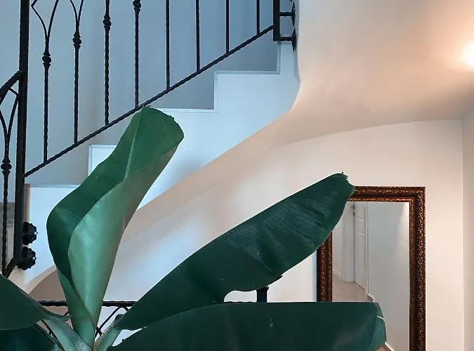 מלון Amber Boutique *